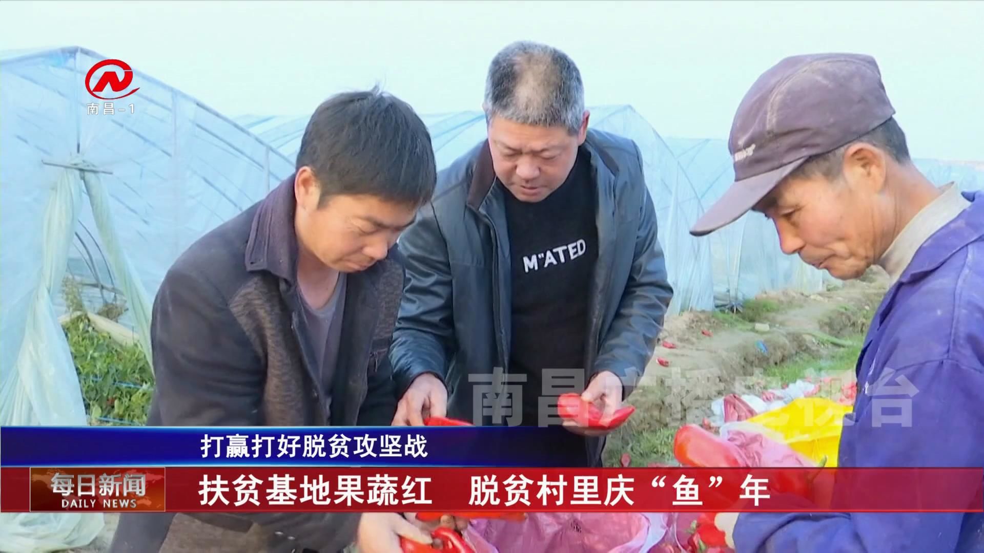 扶贫基地果蔬红  脱贫村里庆“鱼”年