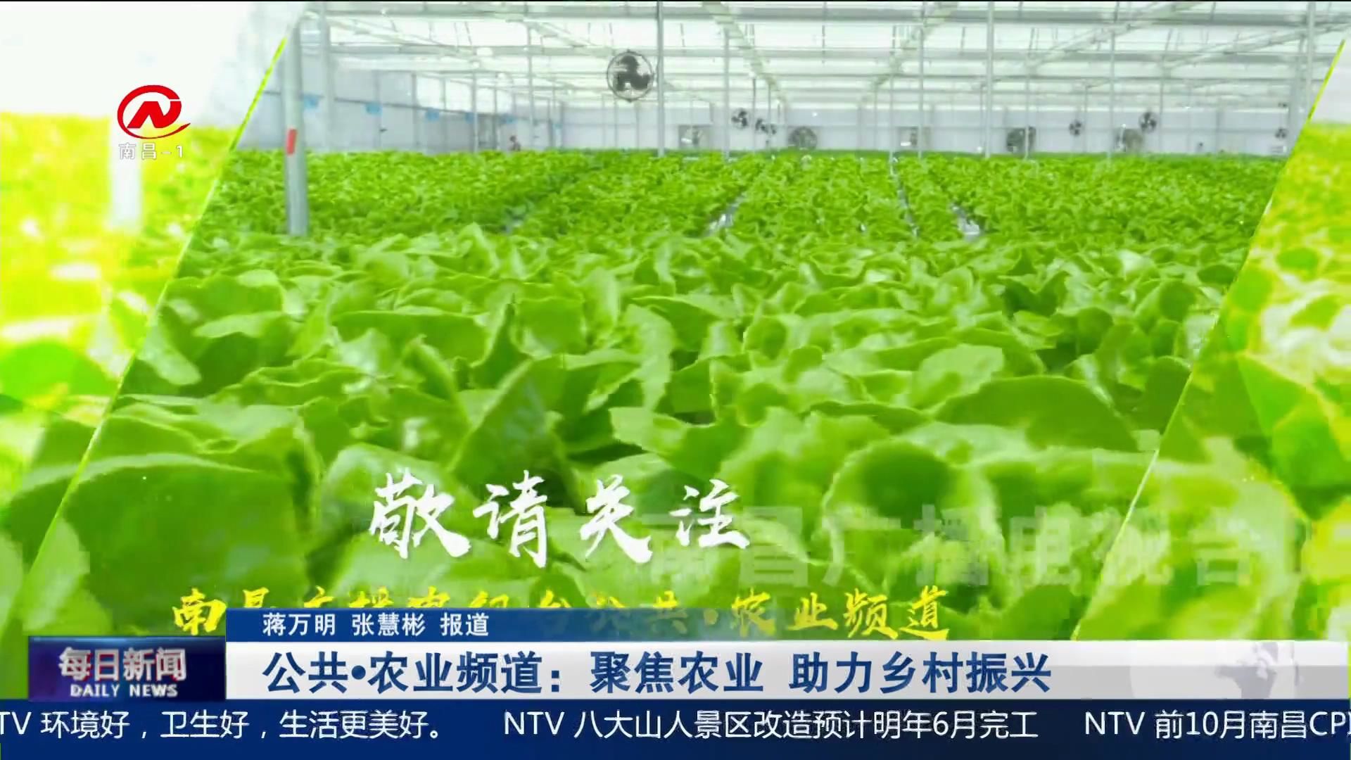 公共·农业频道：聚焦农业 助力乡村振兴