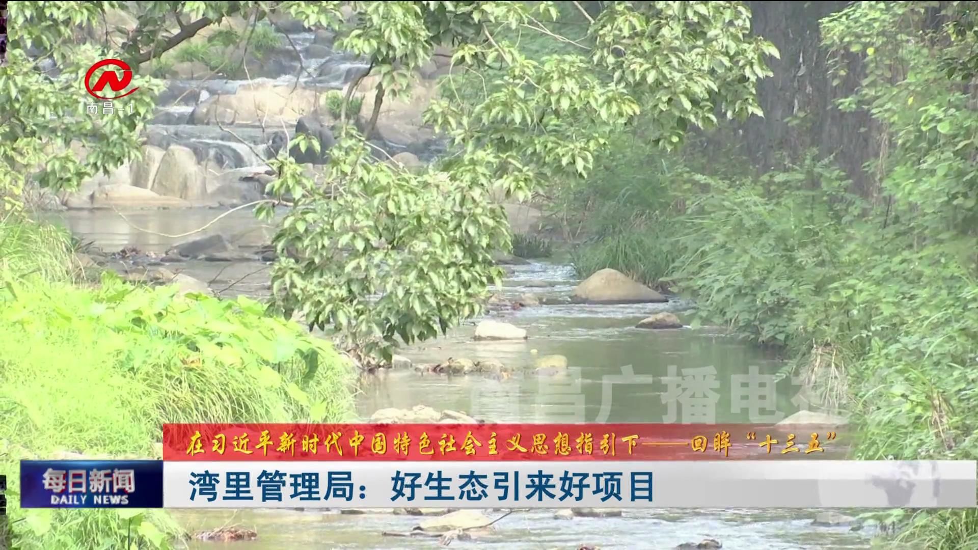 湾里管理局：好生态引来好项目