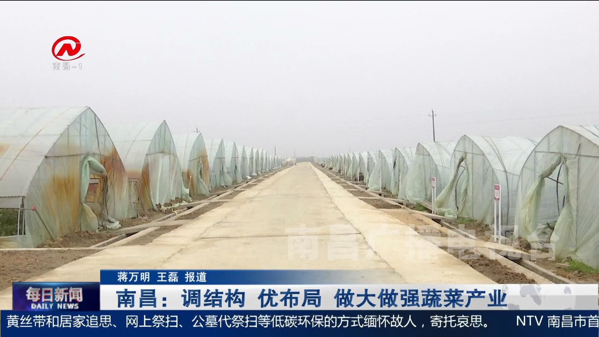 南昌：调结构 优布局 做大做强蔬菜产业