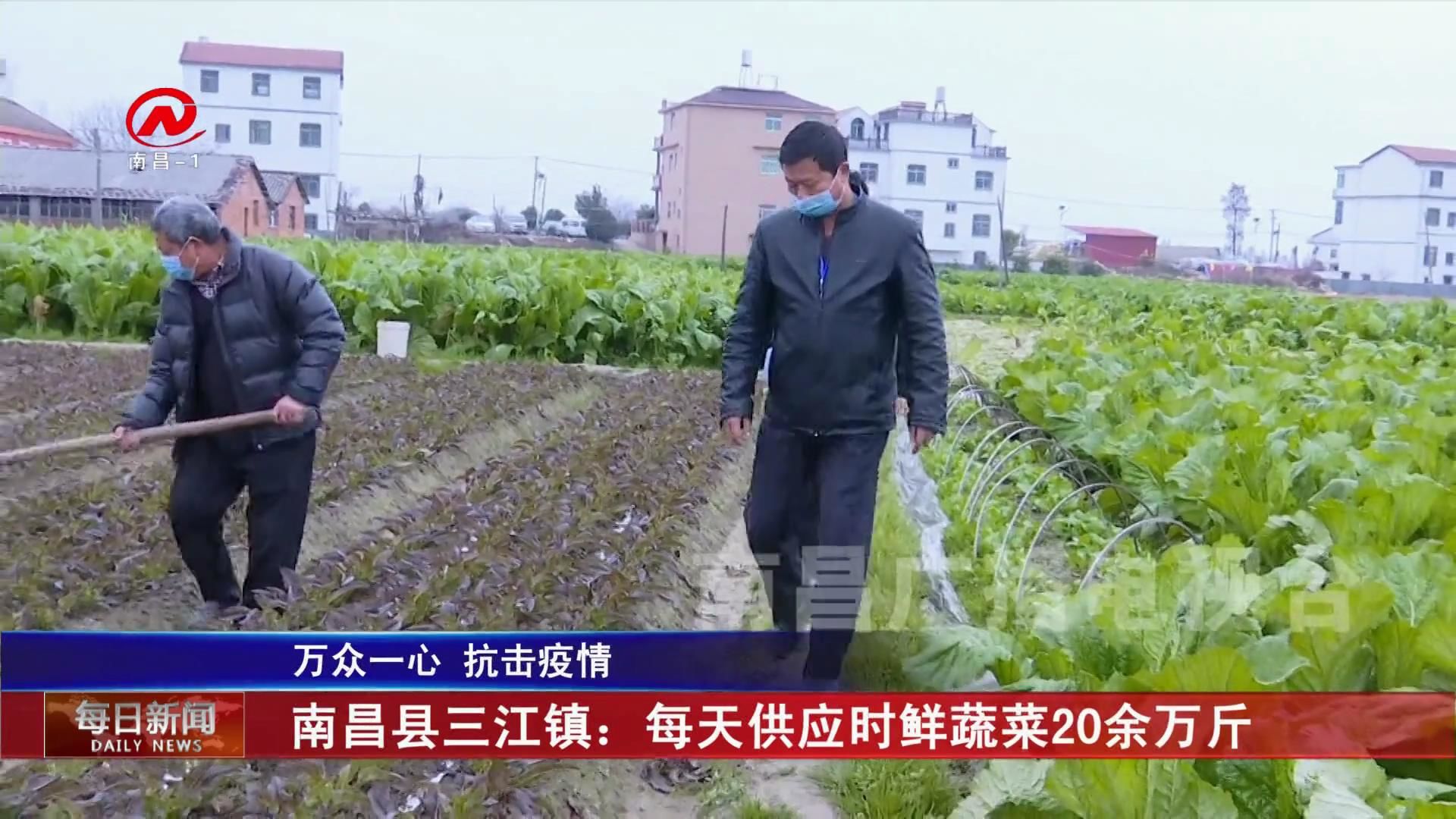 南昌县三江镇：每天供应时鲜蔬菜20余万斤