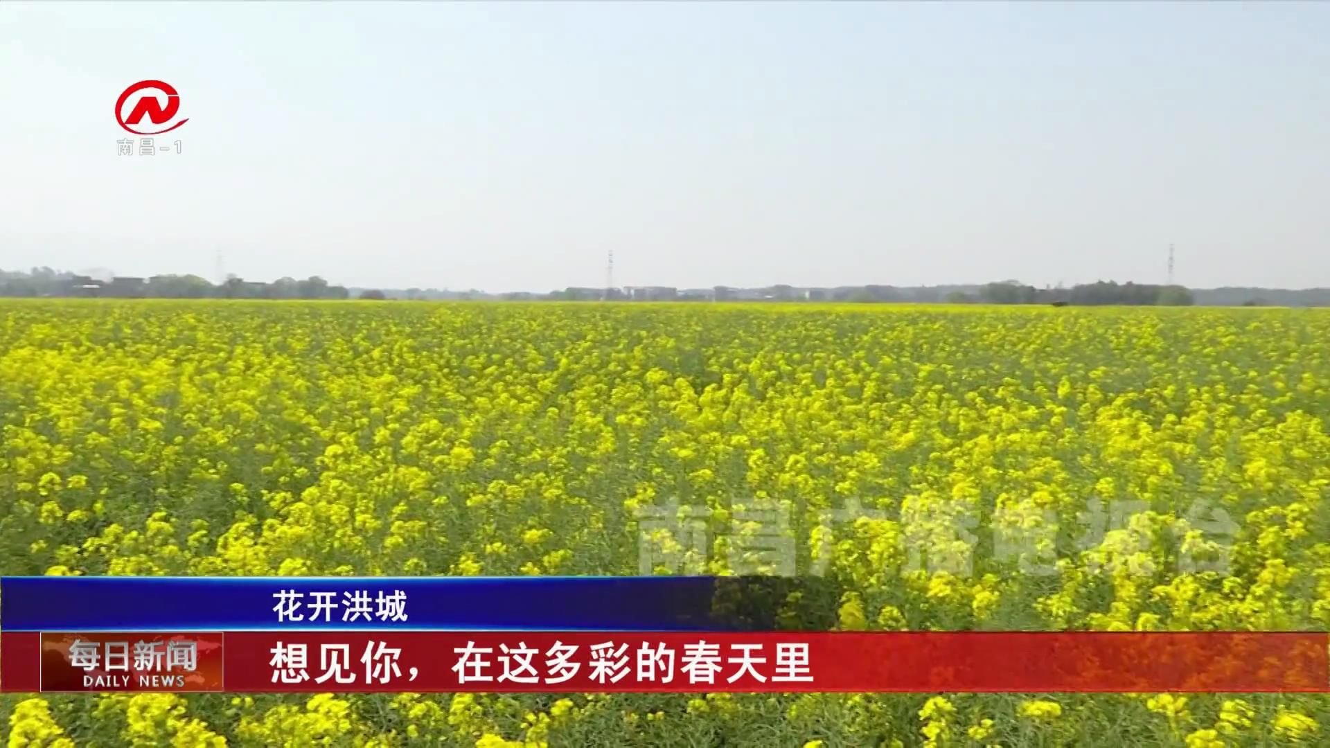 想见你，在这多彩的春天里