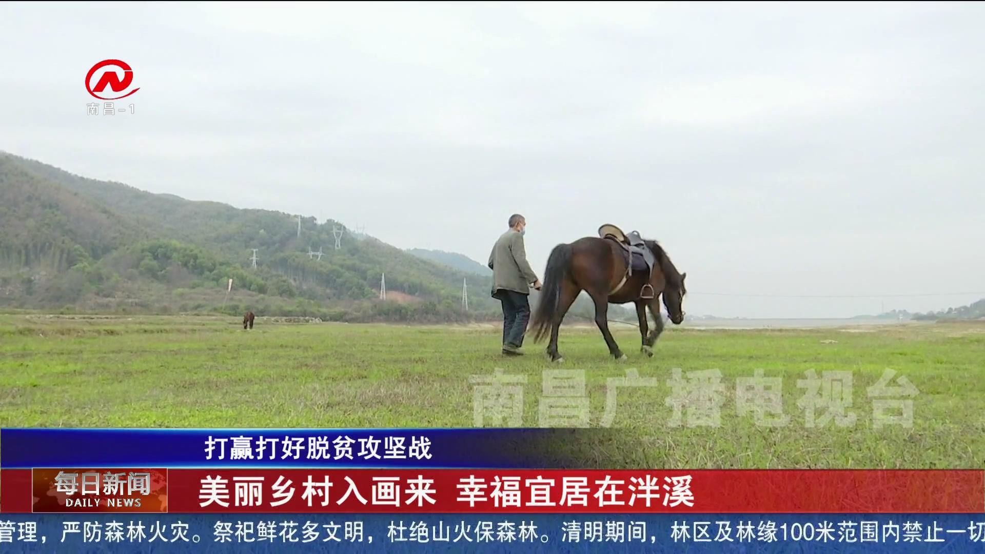 美丽乡村入画来 幸福宜居在泮溪