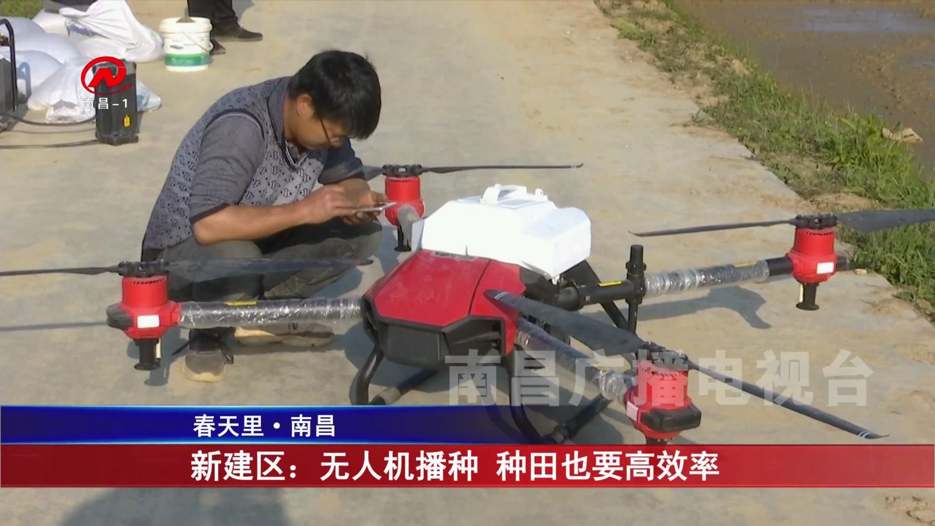 新建区：无人机播种 种田也要高效率