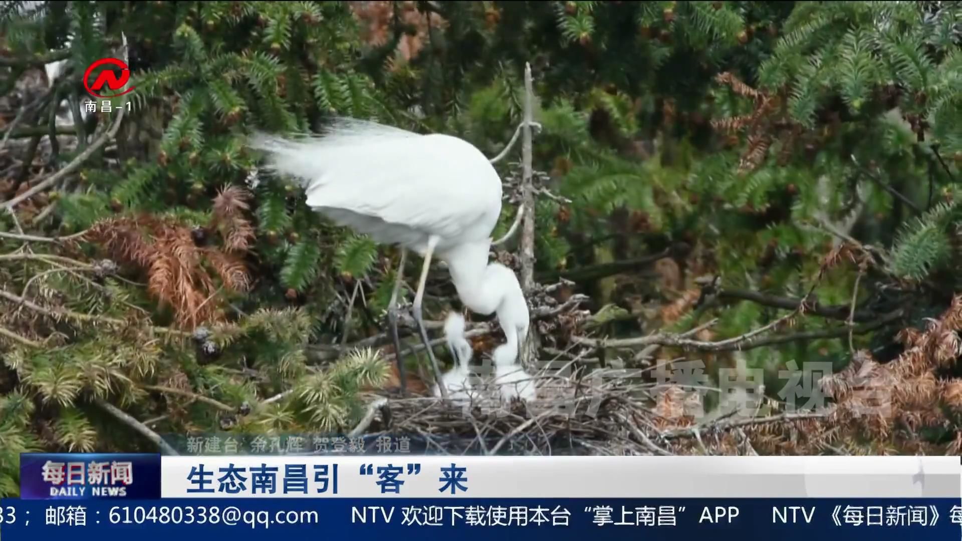 生态南昌引“客”来