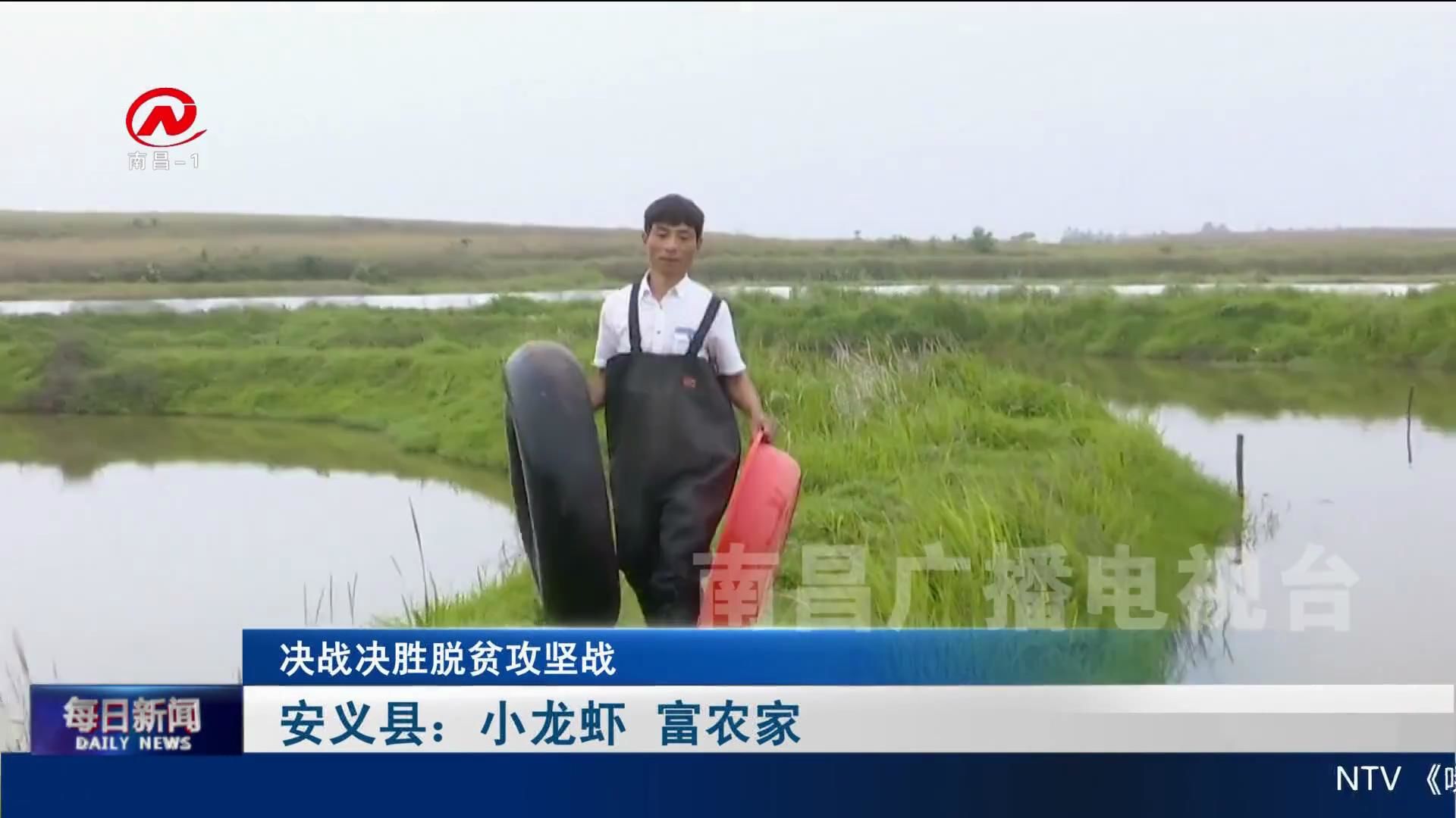 安义县：小龙虾 富农家