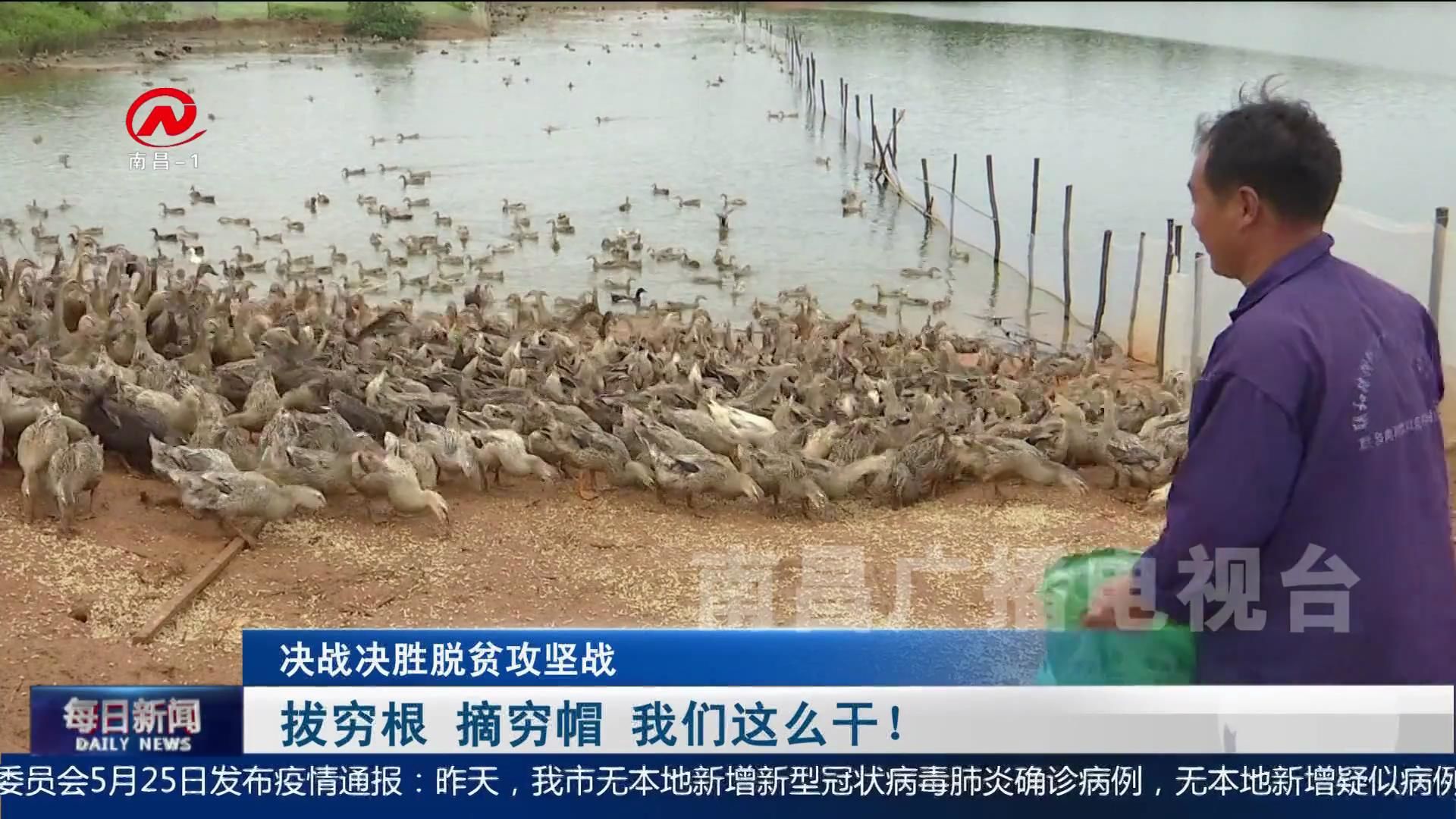 拔穷根  摘穷帽 我们这么干！