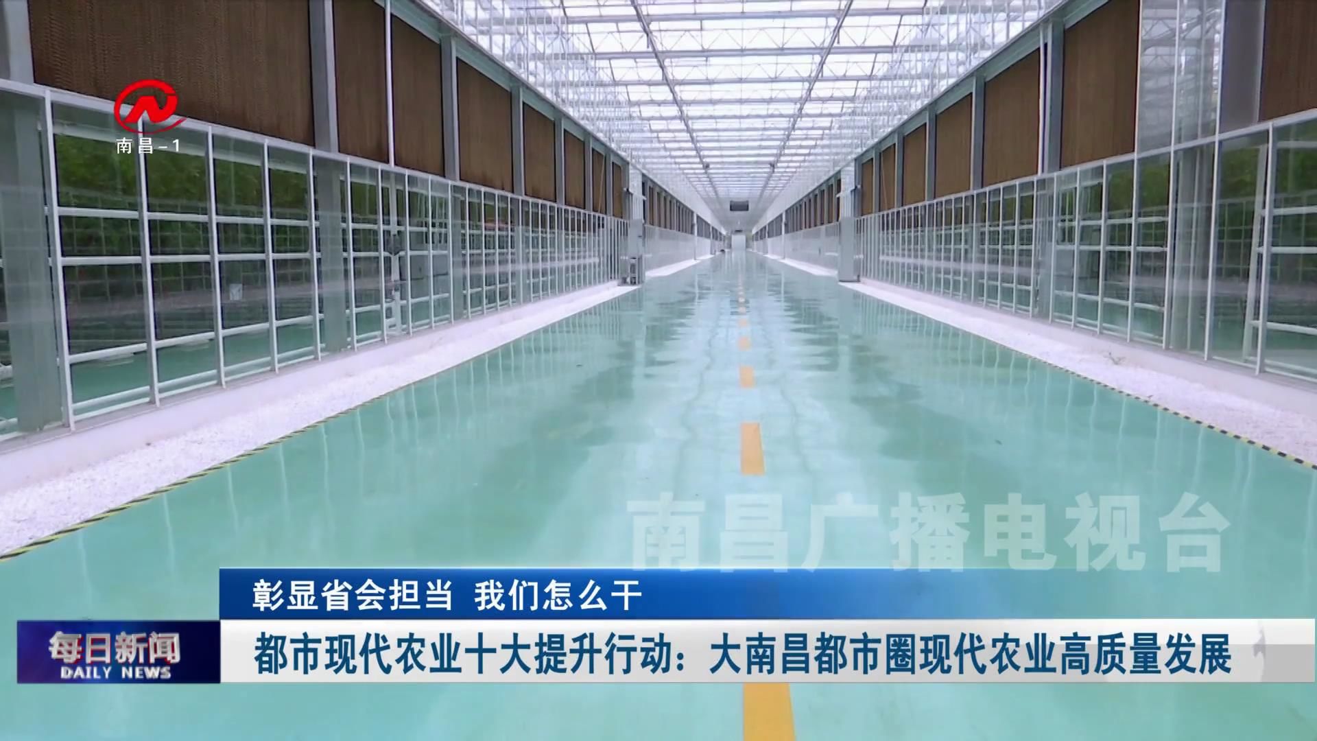 都市现代农业十大提升行动：大南昌都市圈现代农业高质量发展