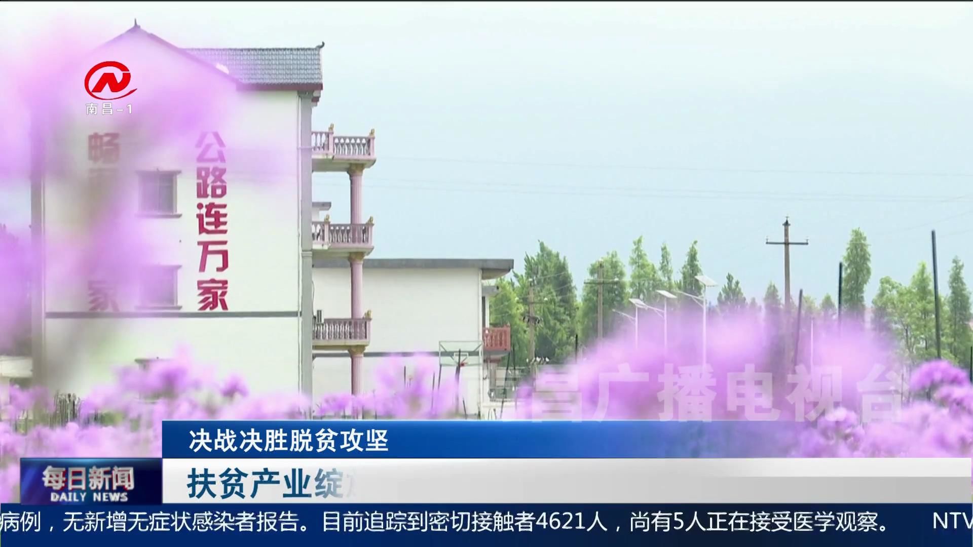 扶贫产业绽放“幸福花”