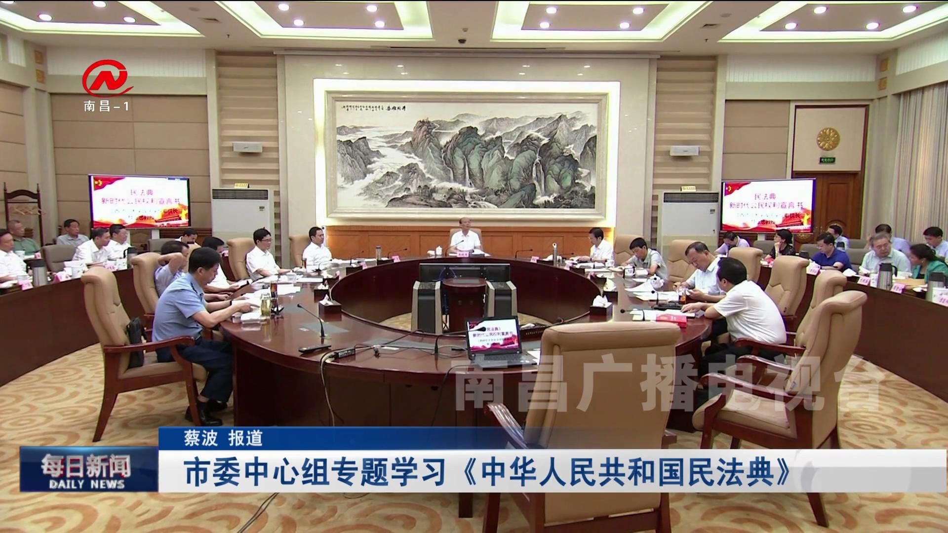 市委中心组专题学习《中华人民共和国民法典》