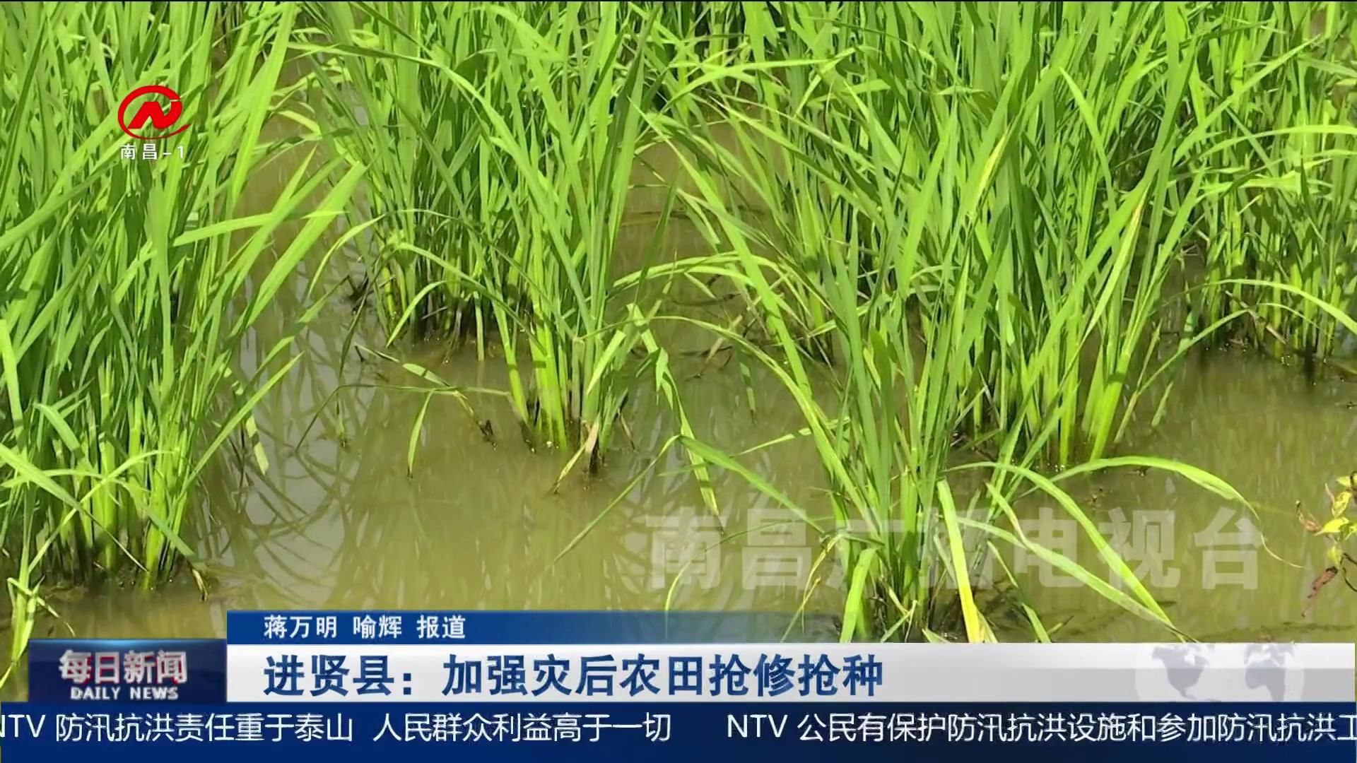 进贤县：加强灾后农田抢修抢种