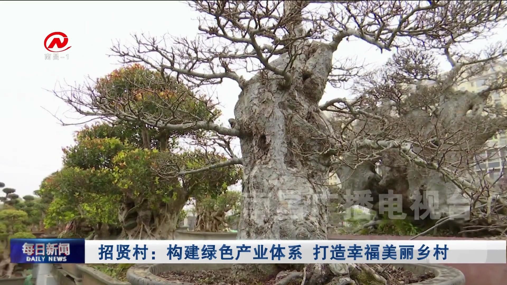 招贤村：构建绿色产业体系 打造幸福美丽乡村