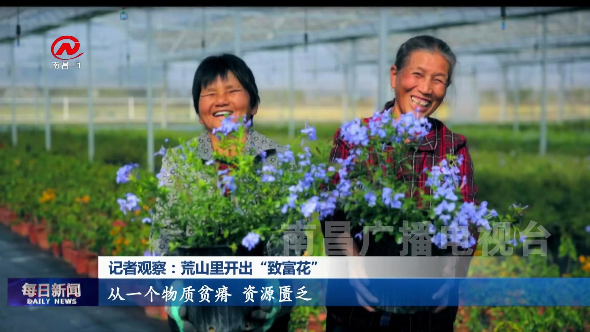 记者观察：荒山里开出“致富花”