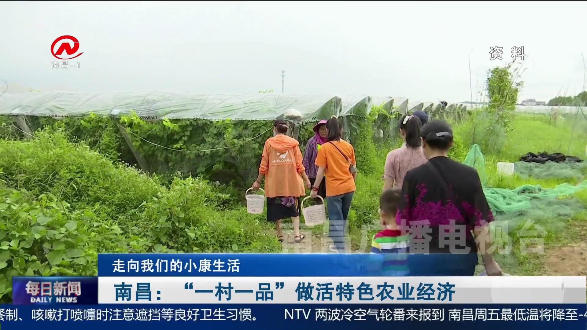 南昌：“一村一品”做活特色农业经济