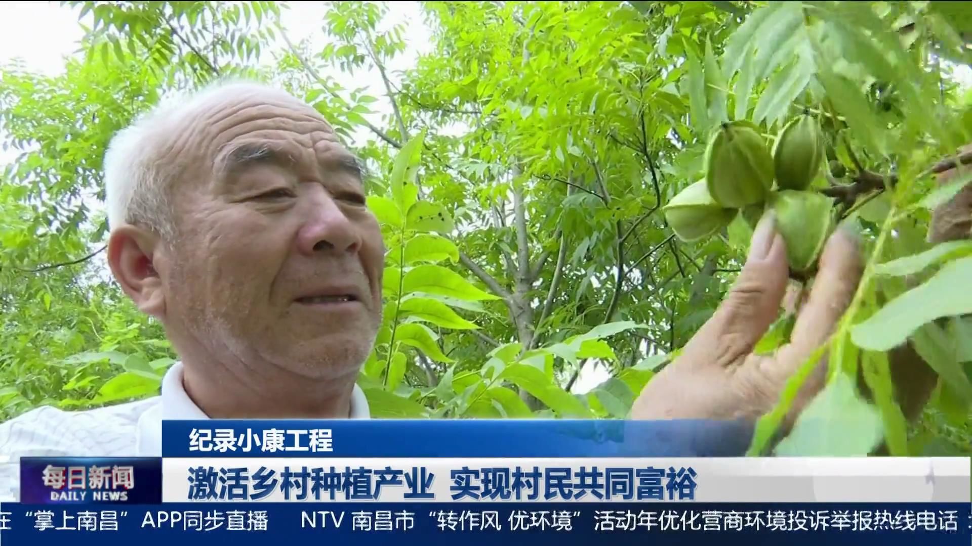 激活乡村种植产业  实现村民共同富裕