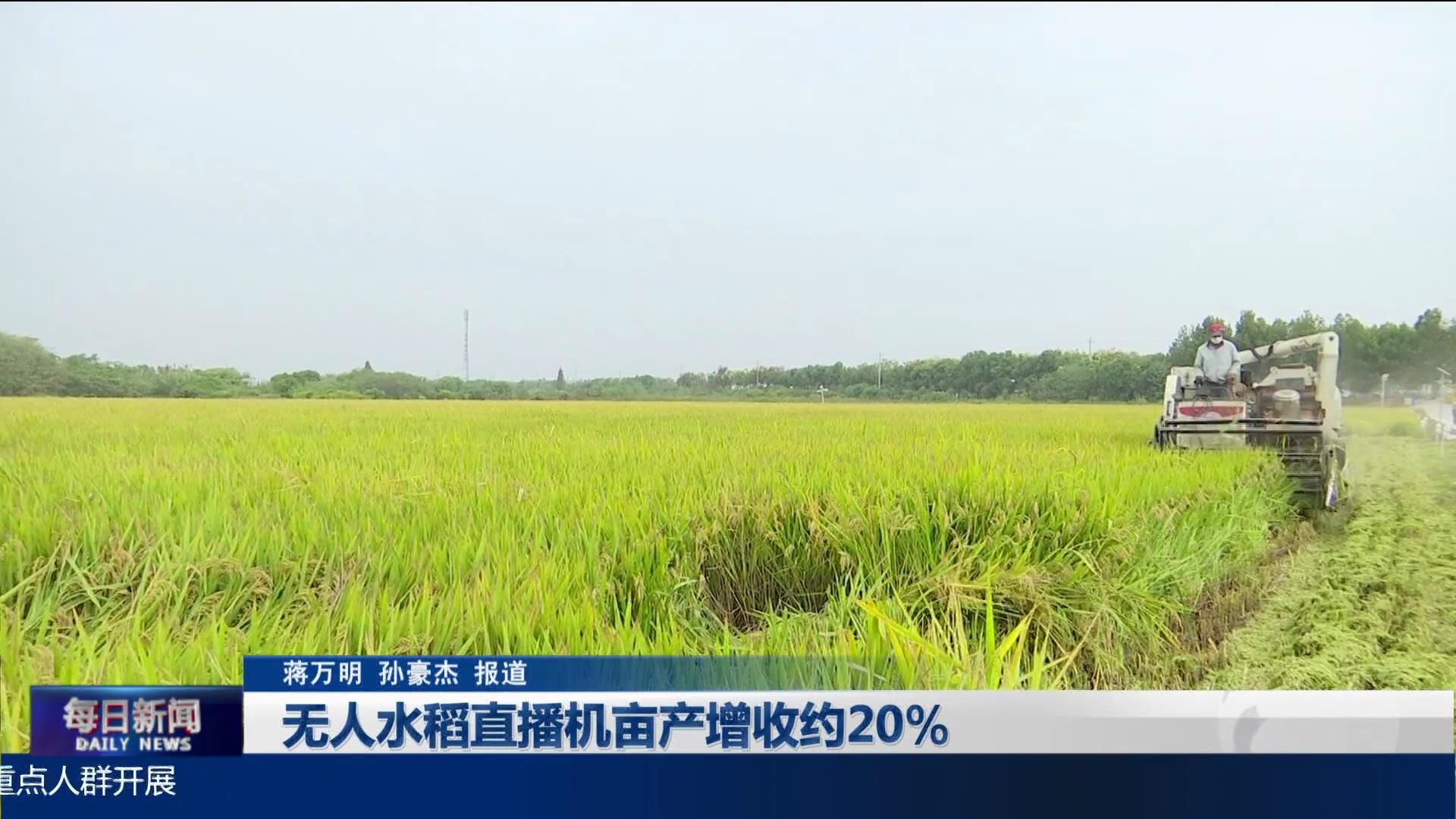 无人水稻直播机亩产增收约20%