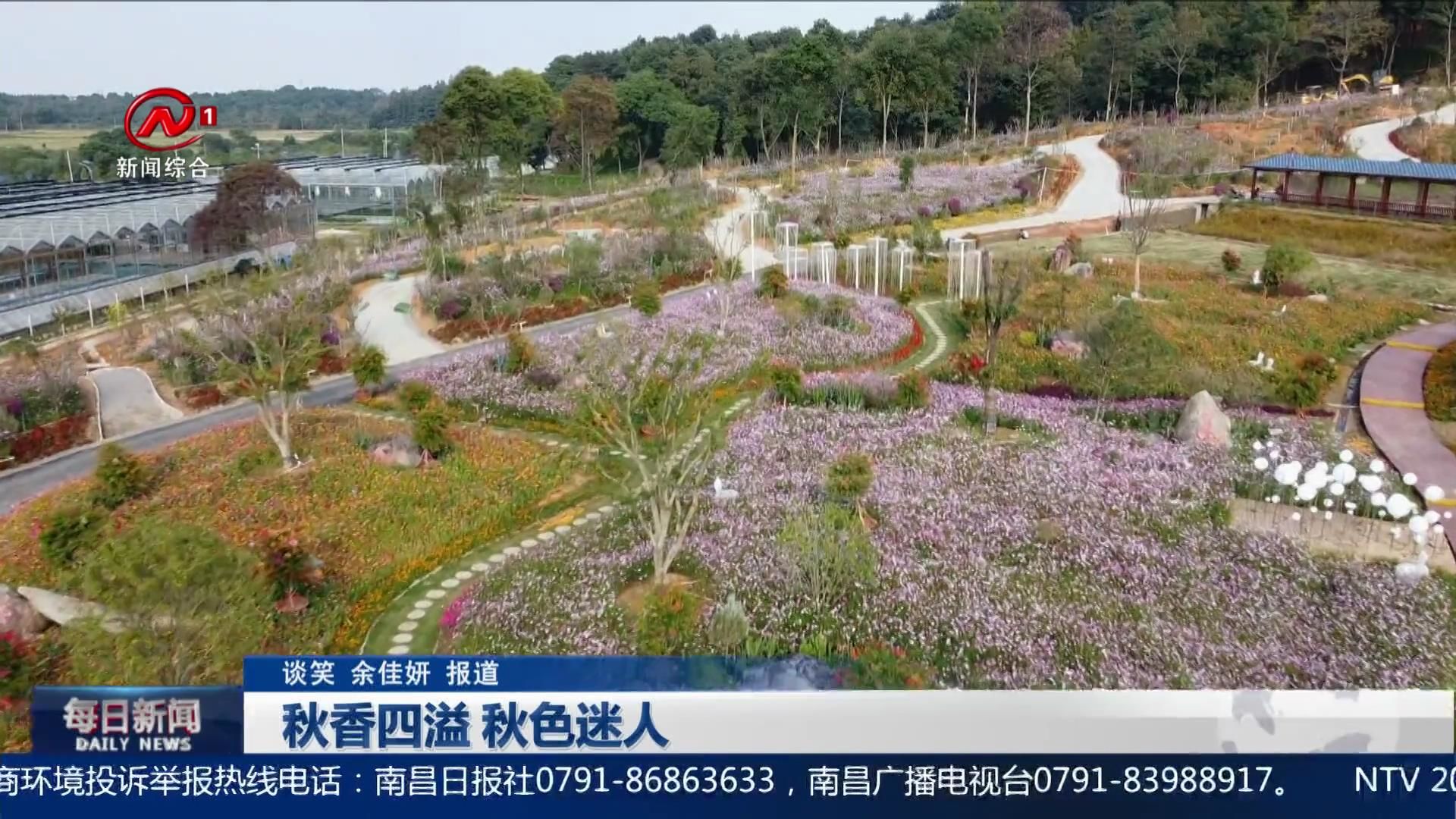 秋香四溢 秋色迷人