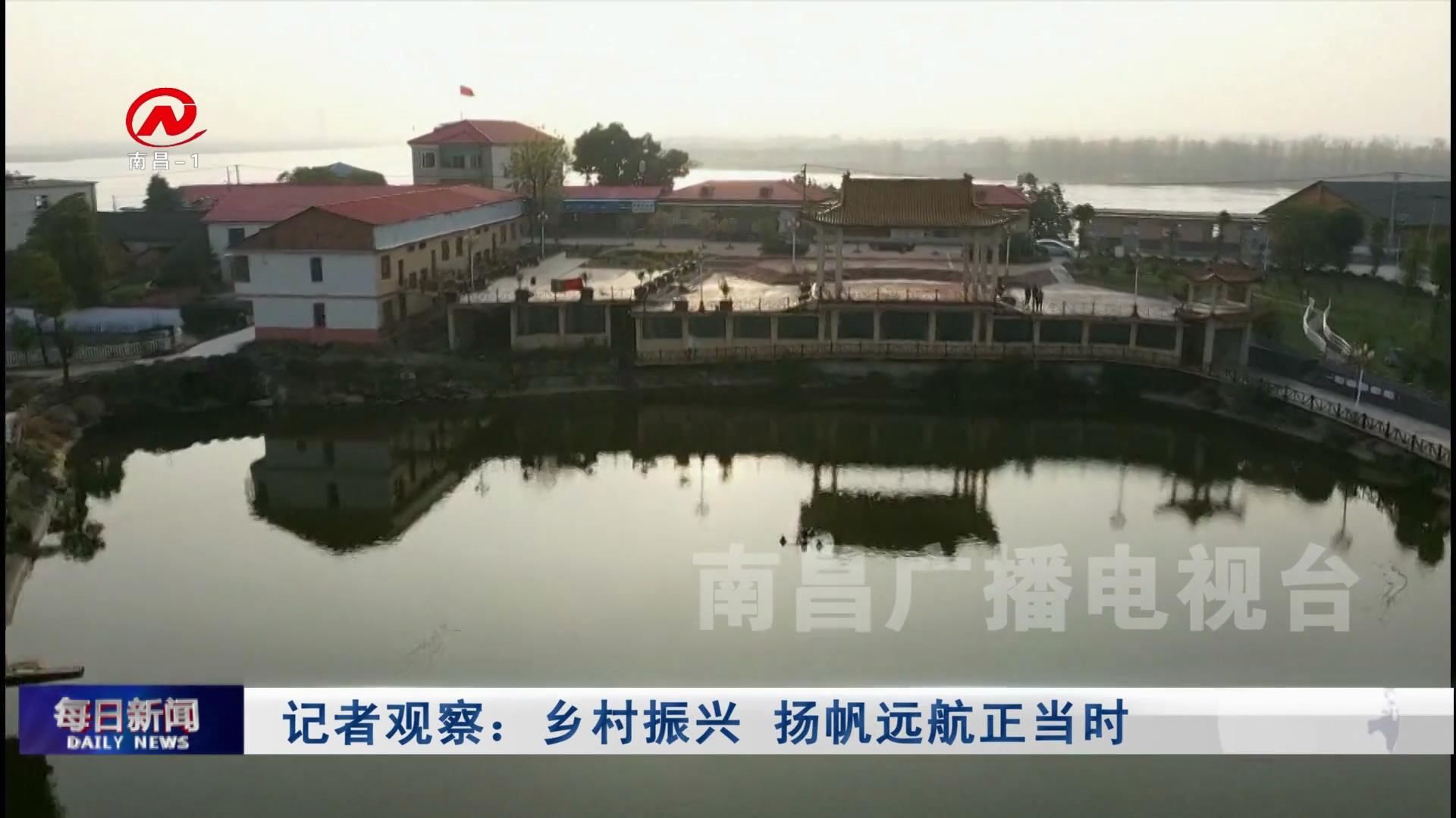 记者观察：乡村振兴 扬帆远航正当时