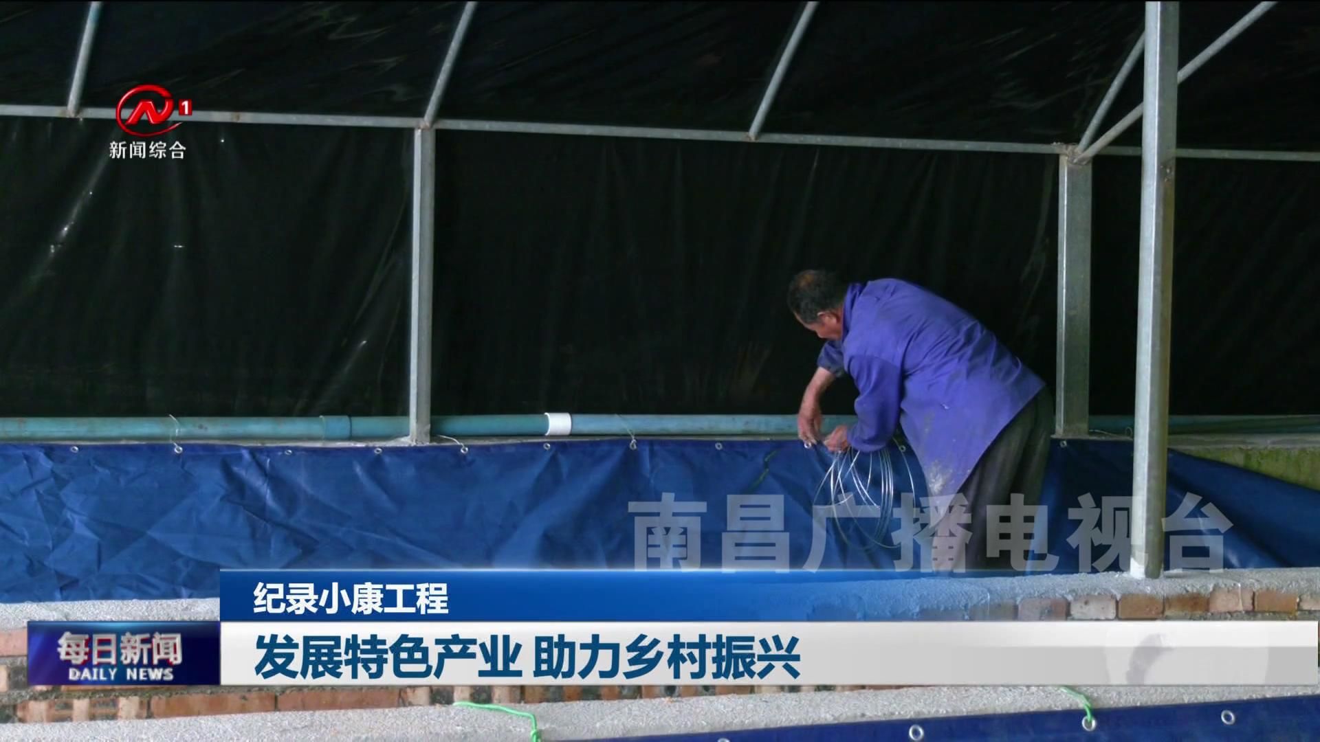 发展特色产业 助力乡村振兴