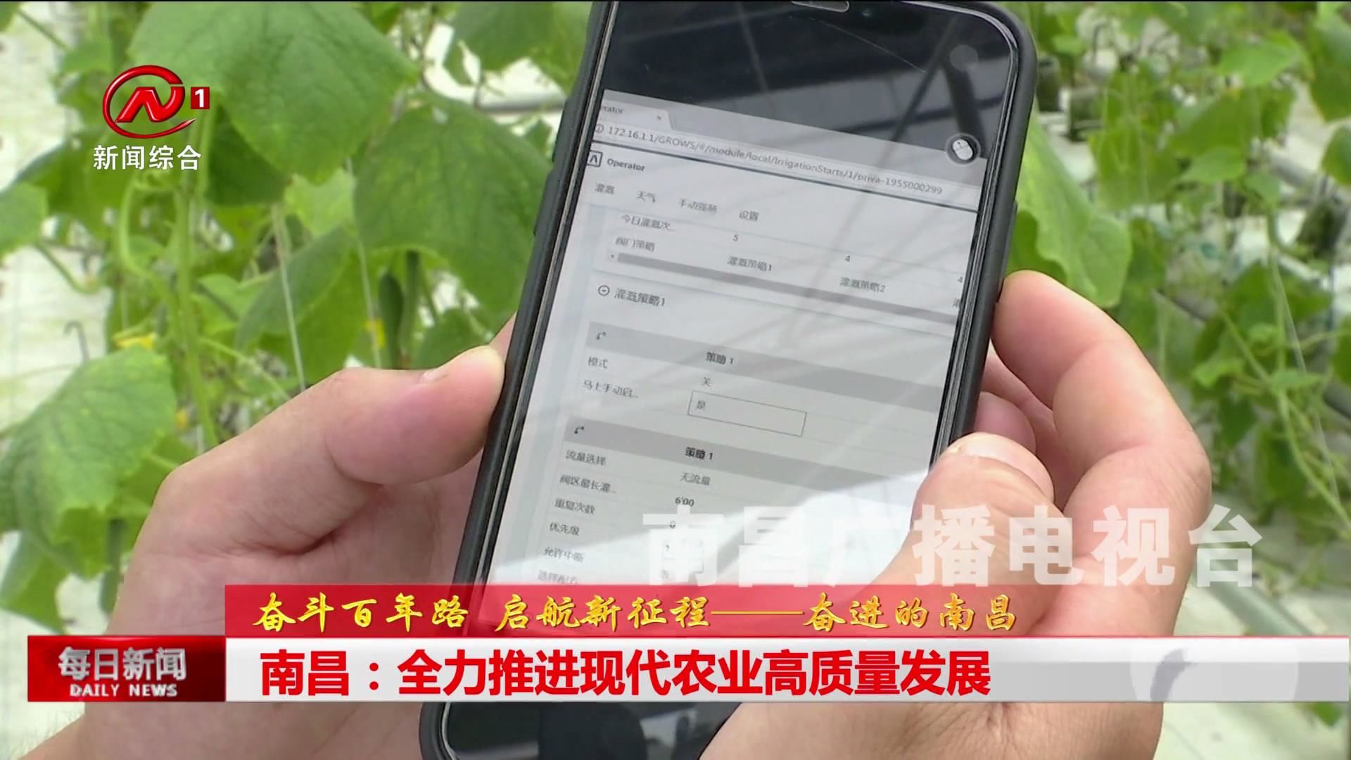 南昌：全力推进现代农业高质量发展