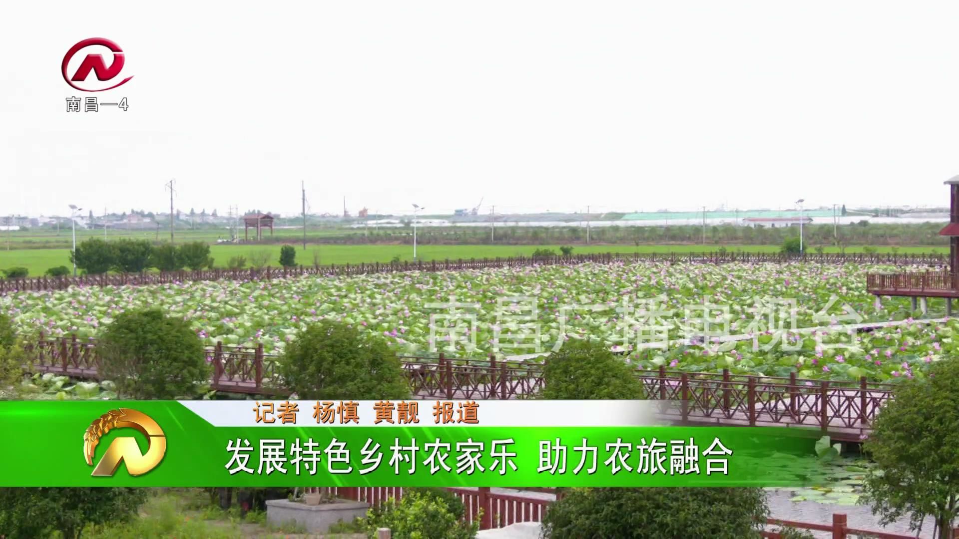 【豫章农视】发展特色乡村农家乐 助力农旅融合