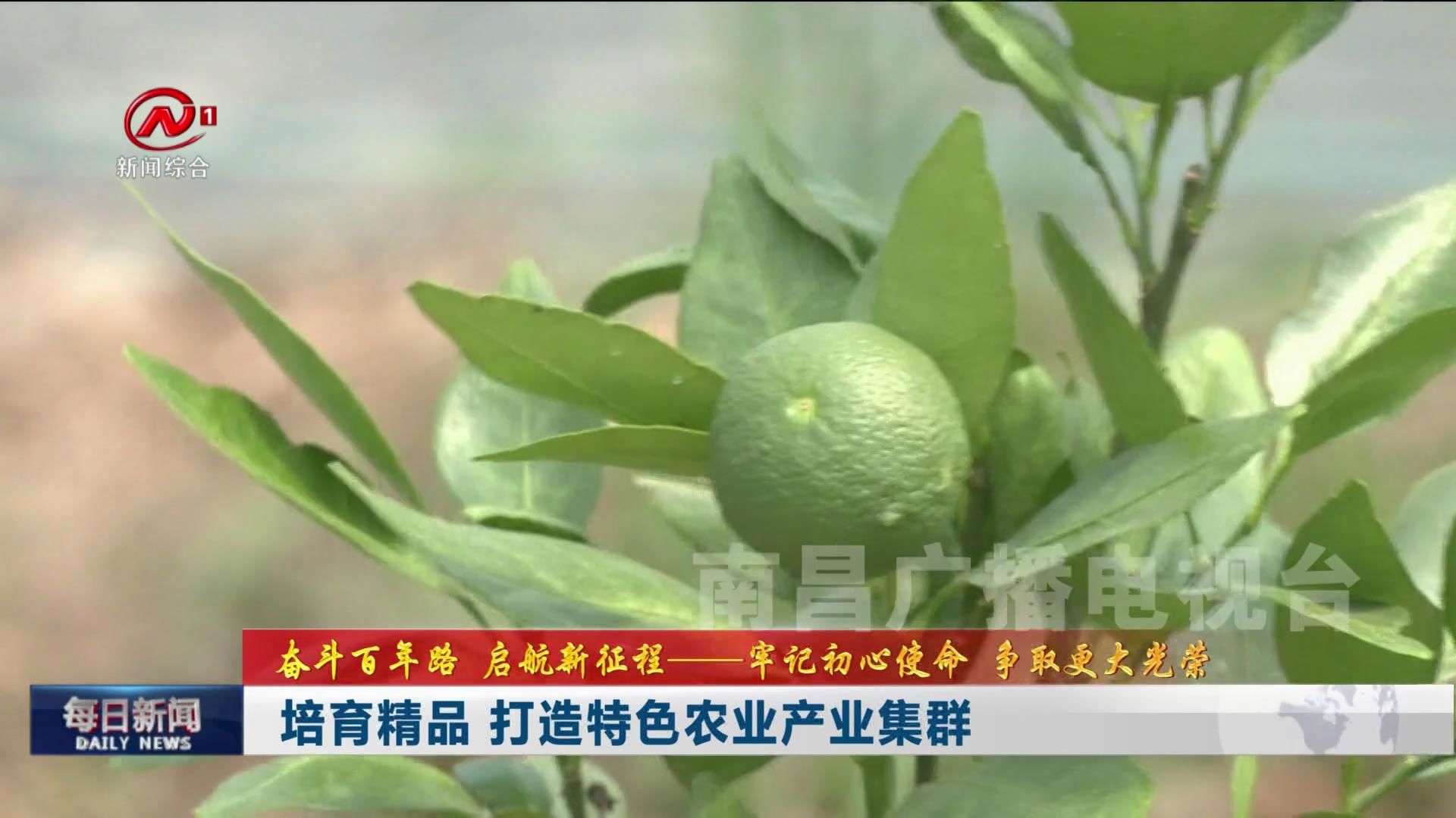 培育精品 打造特色农业产业集群