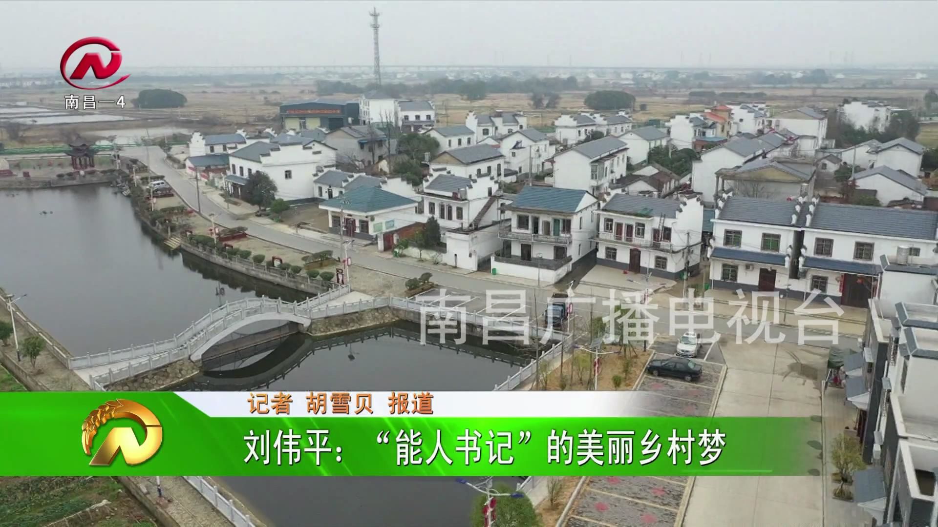 【豫章农视】刘伟平：“能人书记”的美丽乡村梦