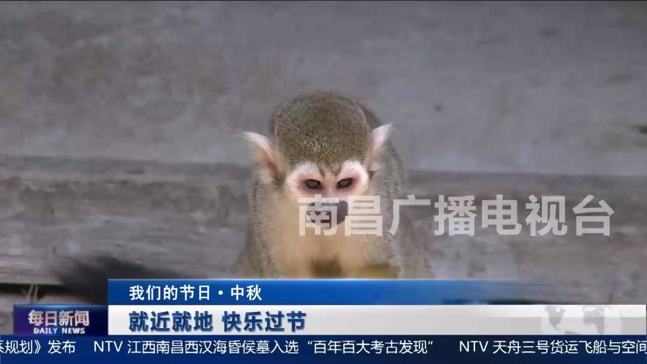 就近就地 快乐过节