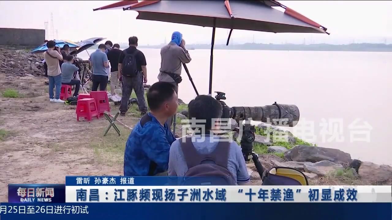 南昌：江豚频现扬子洲水域  “十年禁渔”初显成效