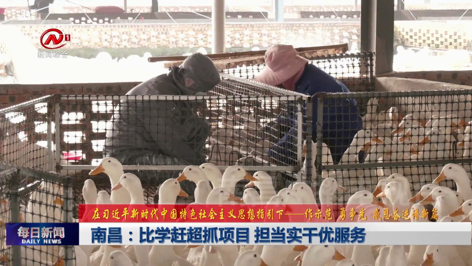 南昌：比学赶超抓项目 担当实干优服务