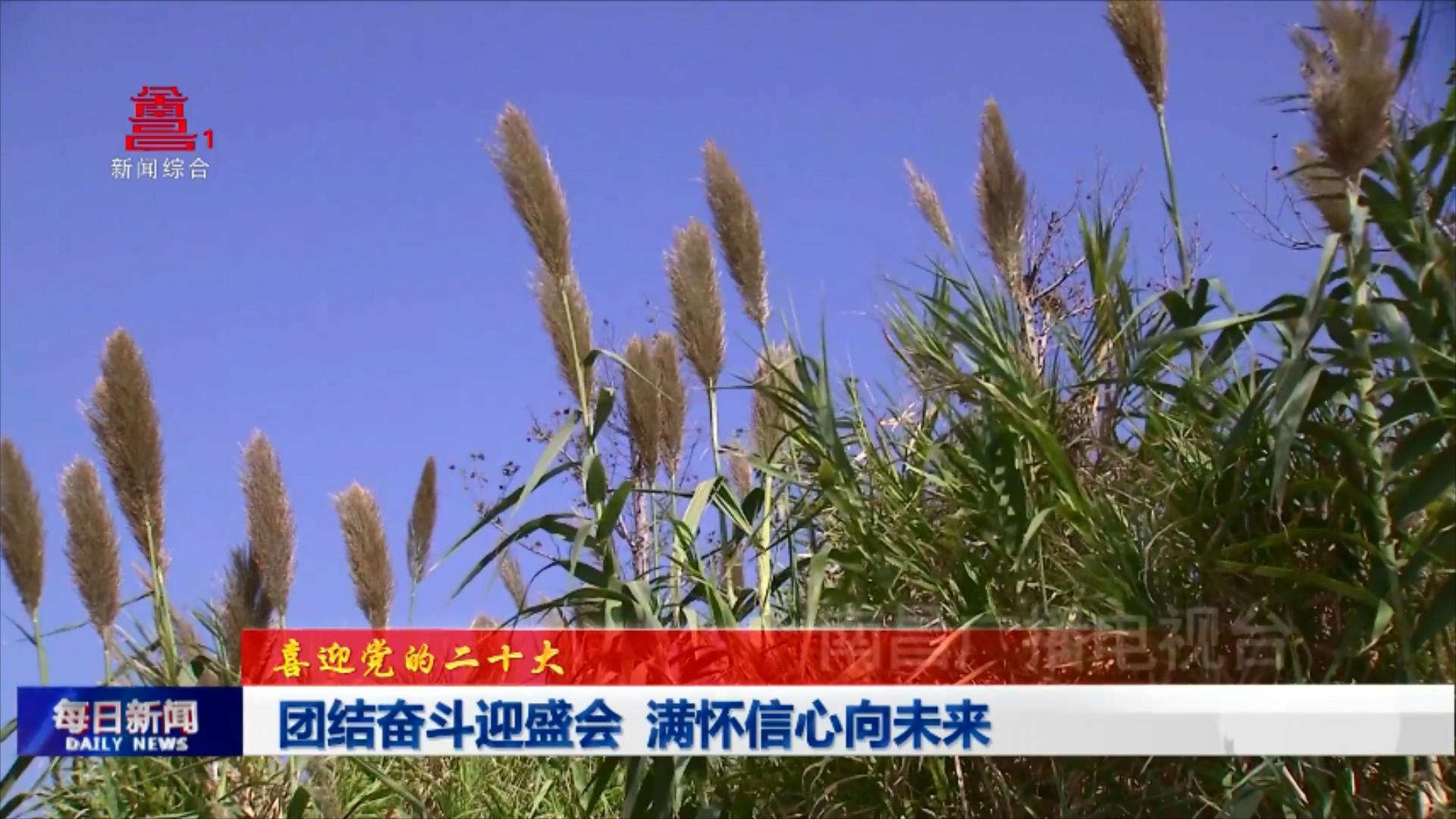 团结奋斗迎盛会 满怀信心向未来