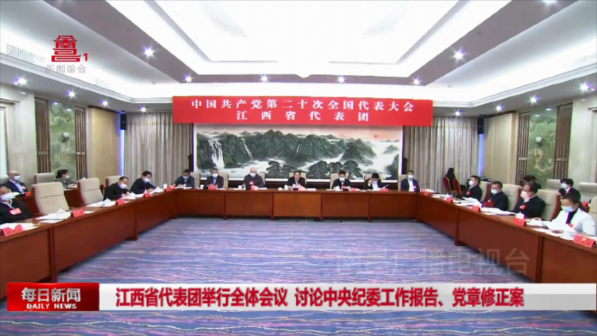 江西省代表团举行全体会议 讨论中央纪委工作报告、党章修正案