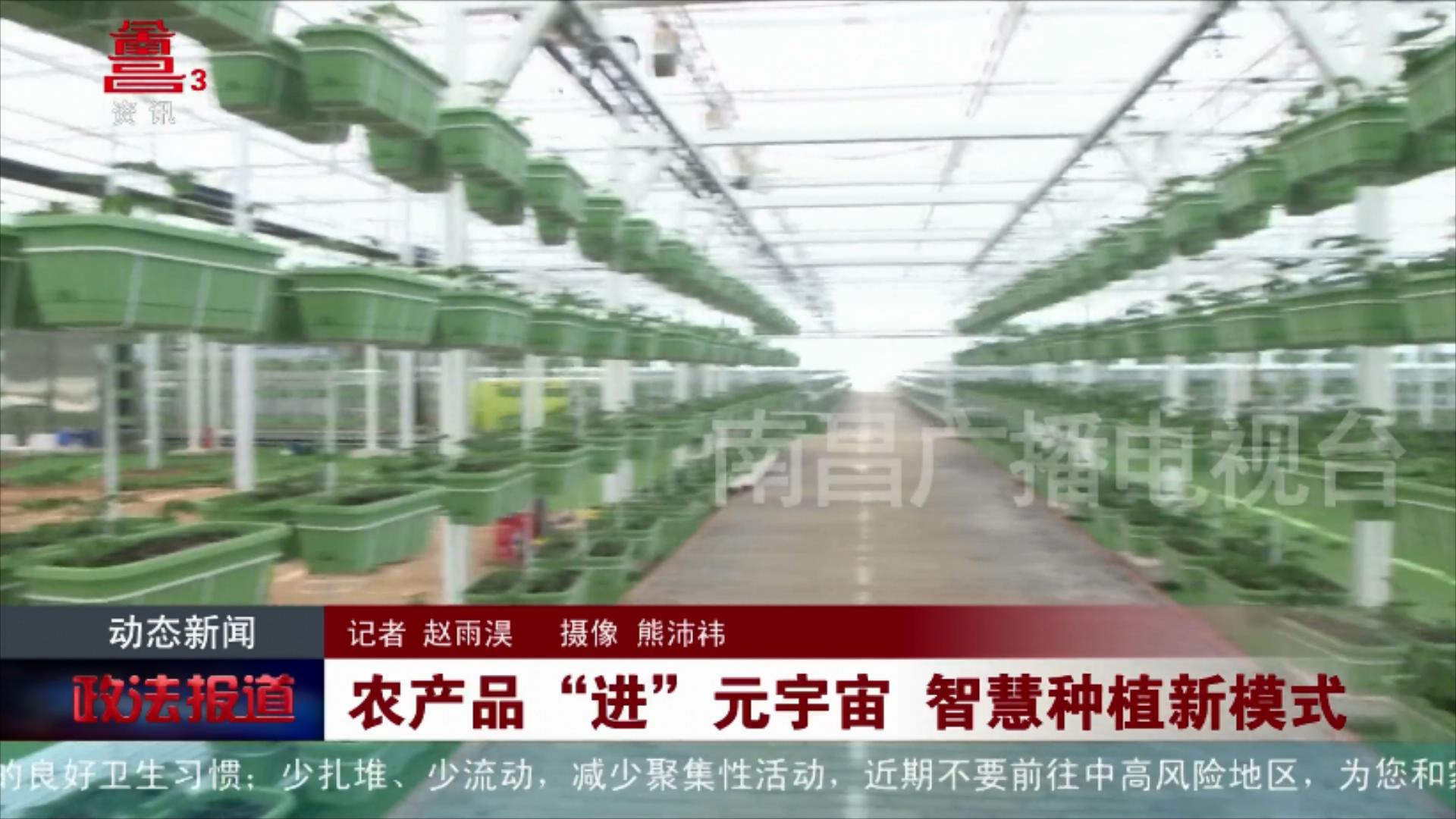农产品“进”元宇宙 智慧种植新模式