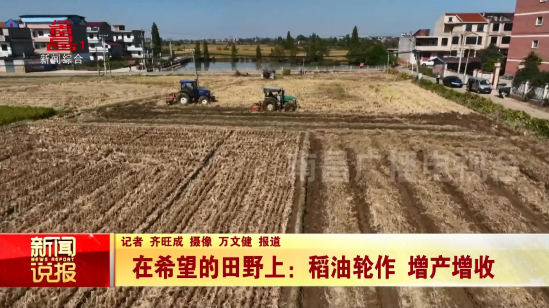 在希望的田野上：稻油轮作 增产增收