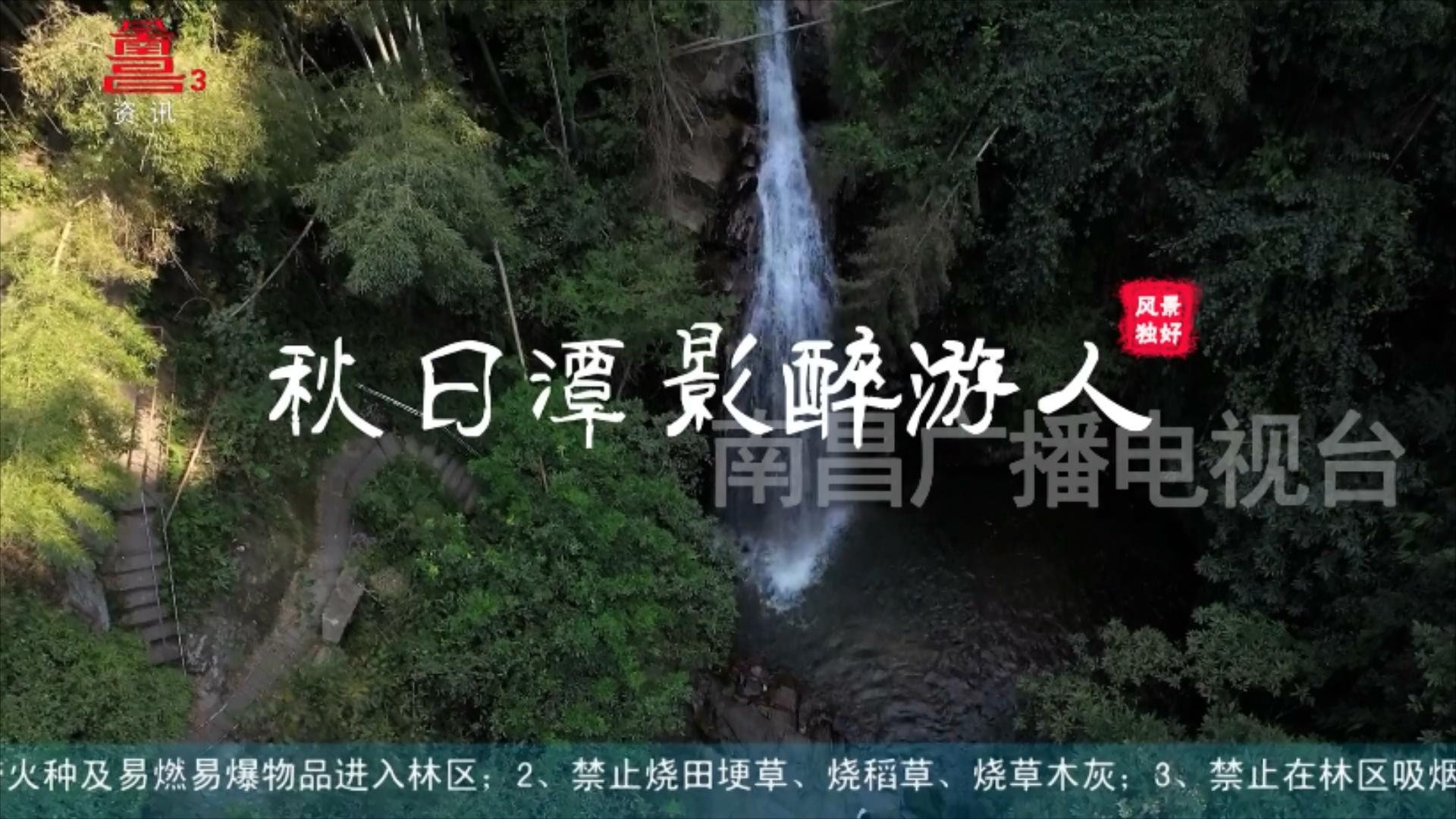 秋日潭影醉游人