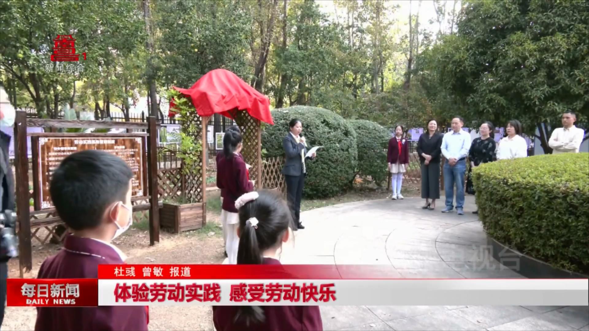 体验劳动实践 感受劳动快乐