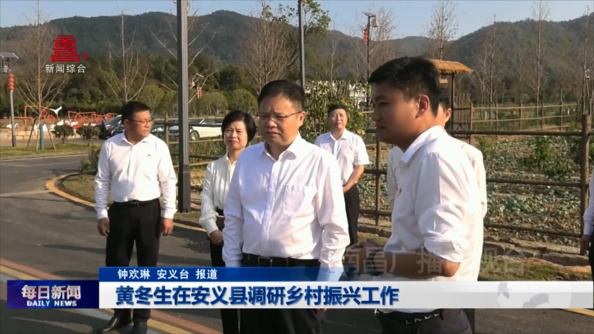 黄冬生在安义县调研乡村振兴工作
