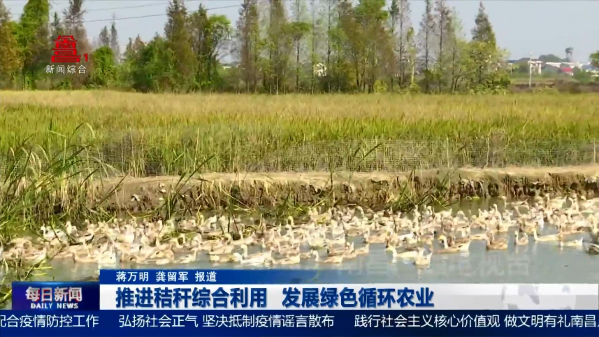 推进秸秆综合利用 发展绿色循环农业
