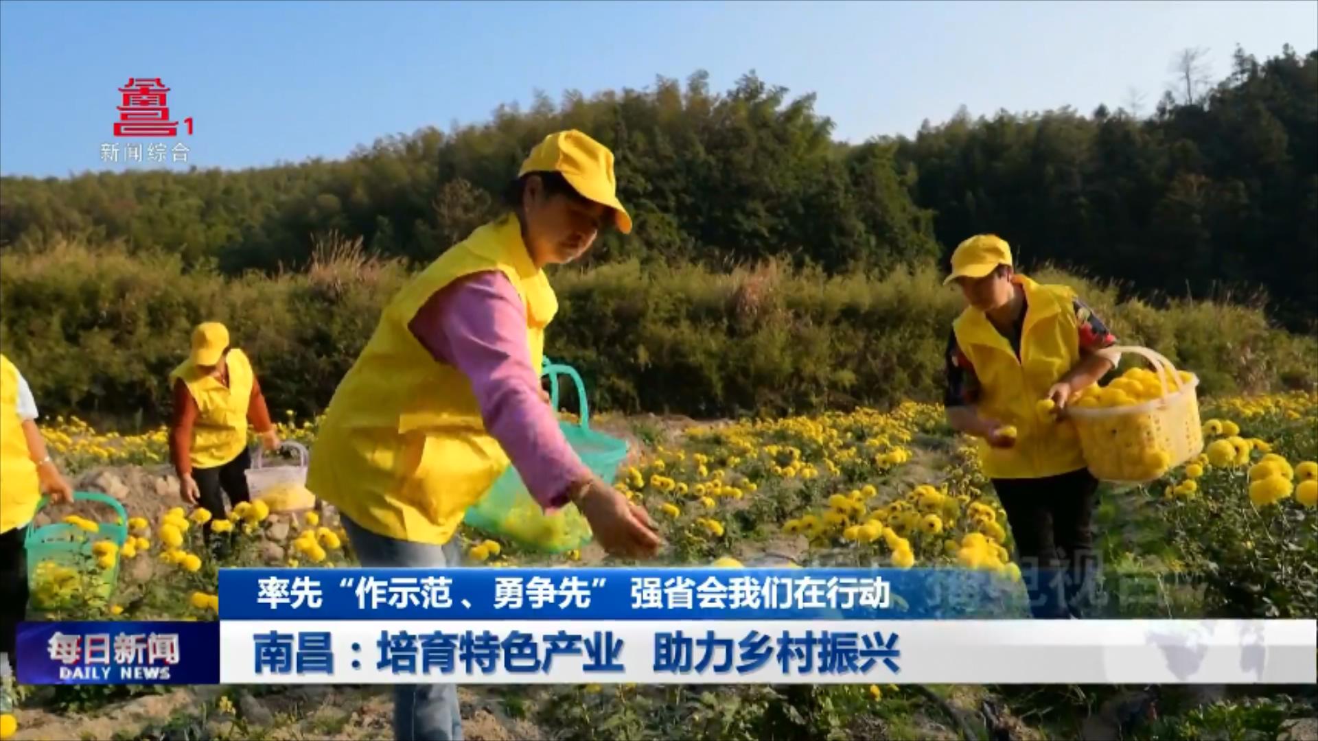 南昌：培育特色产业 助力乡村振兴