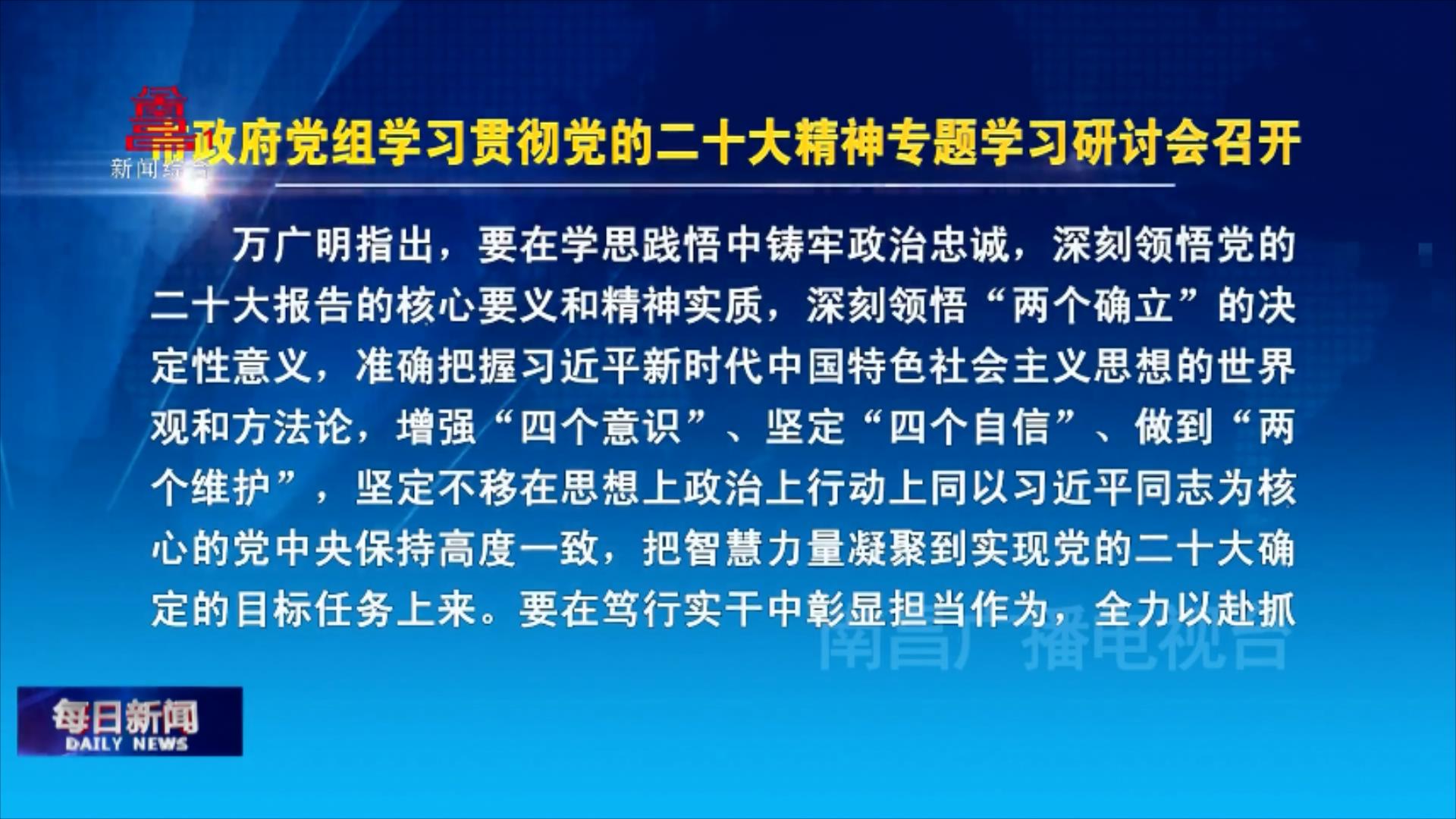 市政府党组学习贯彻党的二十大精神专题学习研讨会召开