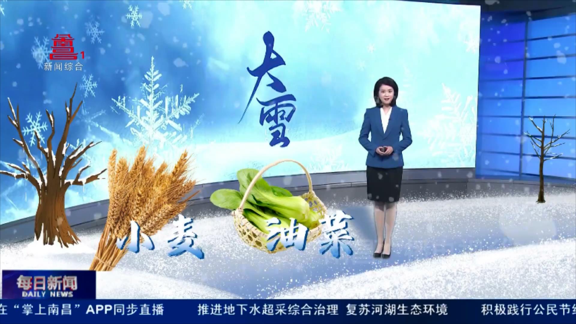 今日大雪