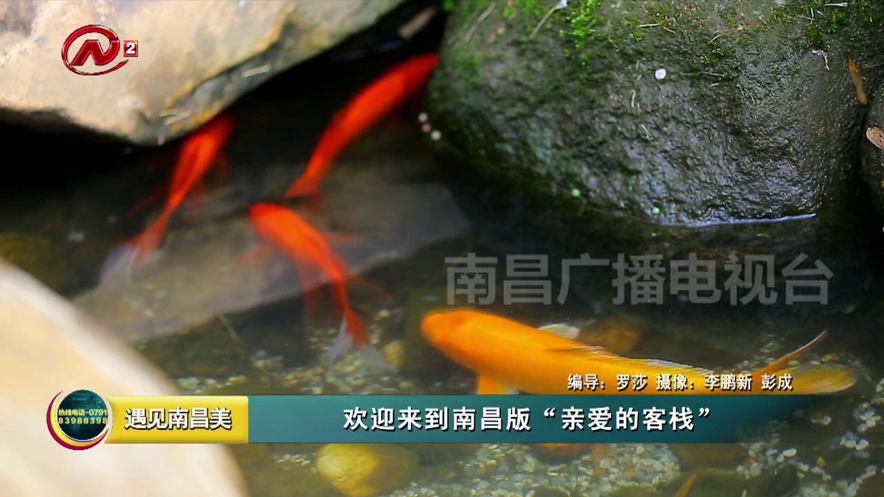 欢迎来到南昌版“亲爱的客栈”