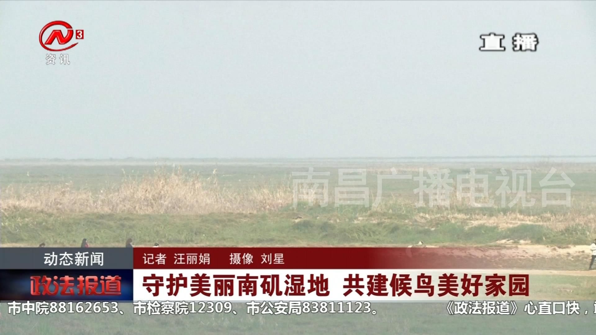 守护美丽南矶湿地 共建候鸟美好家园