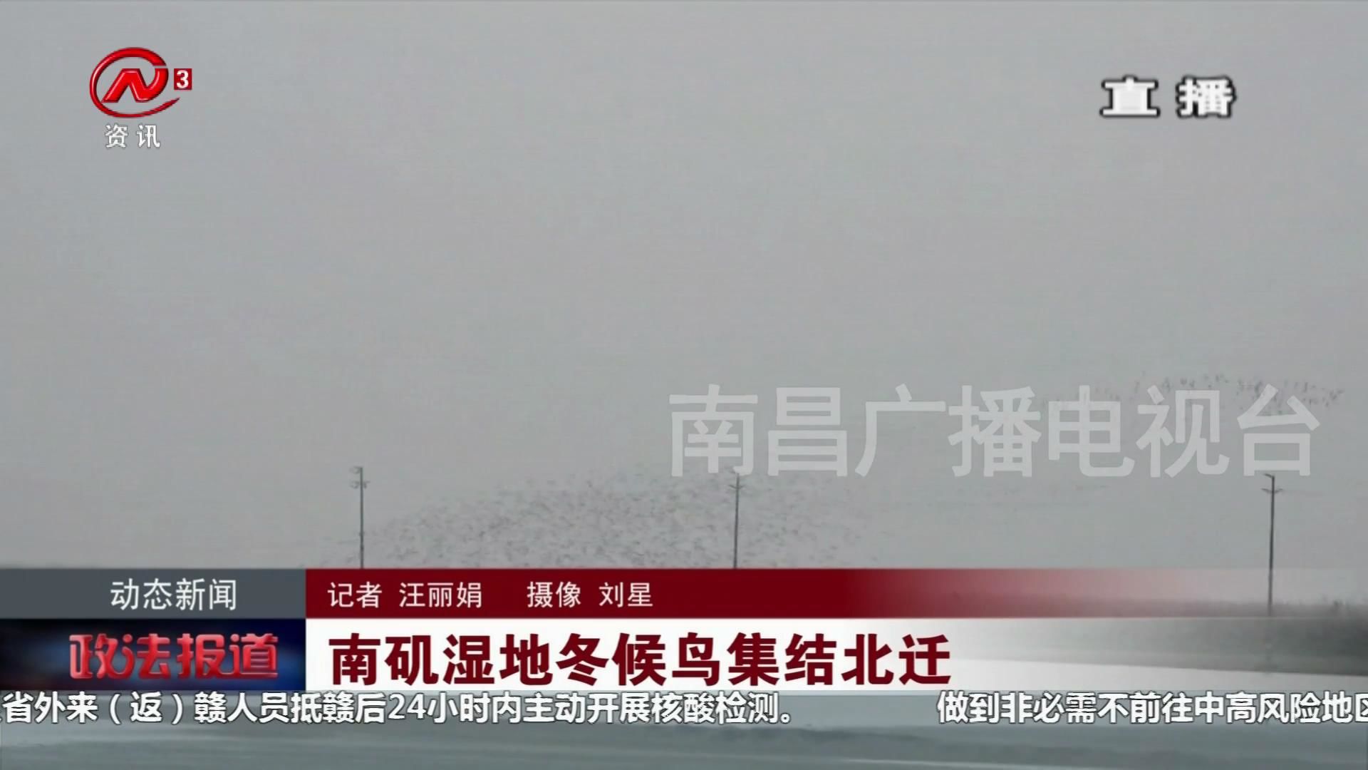 南矶湿地冬候鸟集结北迁