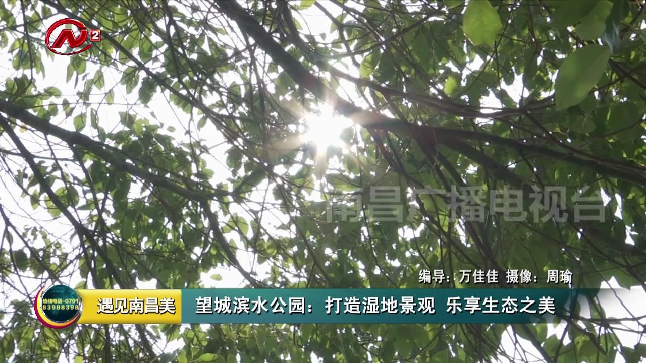 望城滨水公园：打造湿地景观 乐享生态之美