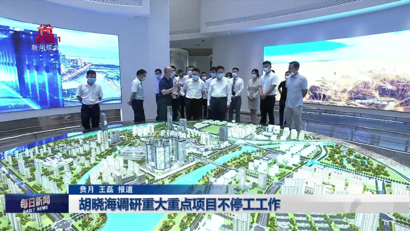 胡晓海调研重大重点项目不停工工作