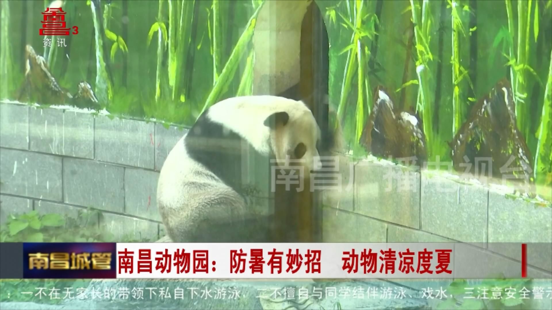 南昌动物园：防暑有妙招 动物清凉度夏