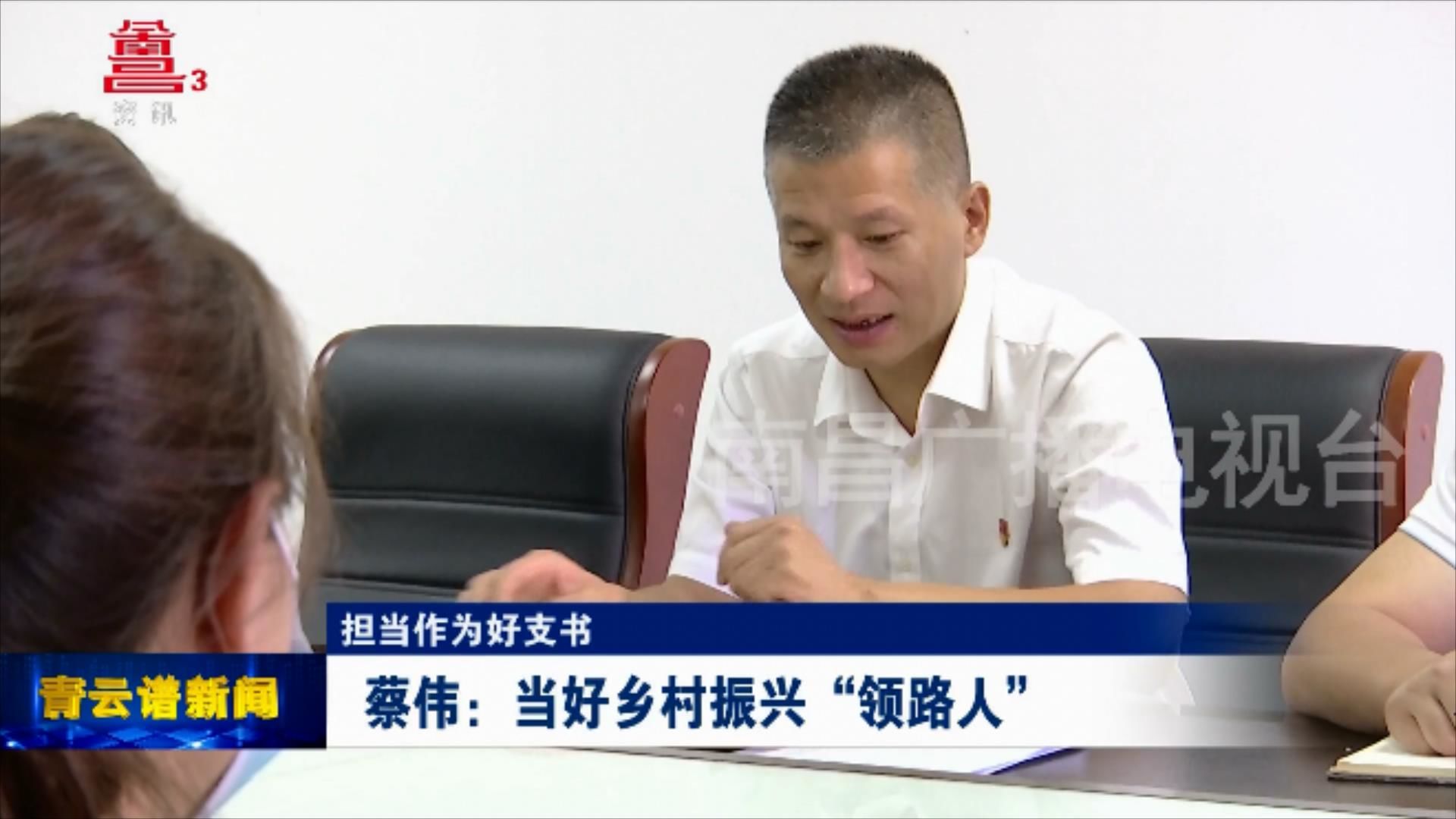 蔡伟：当好乡村振兴“领路人”