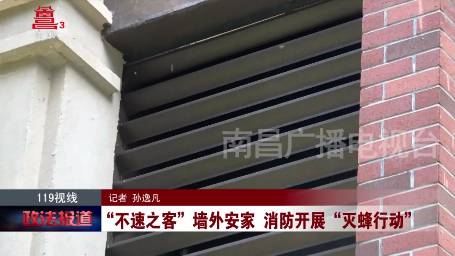 “不速之客”墙外安家 消防开展“灭蜂行动”