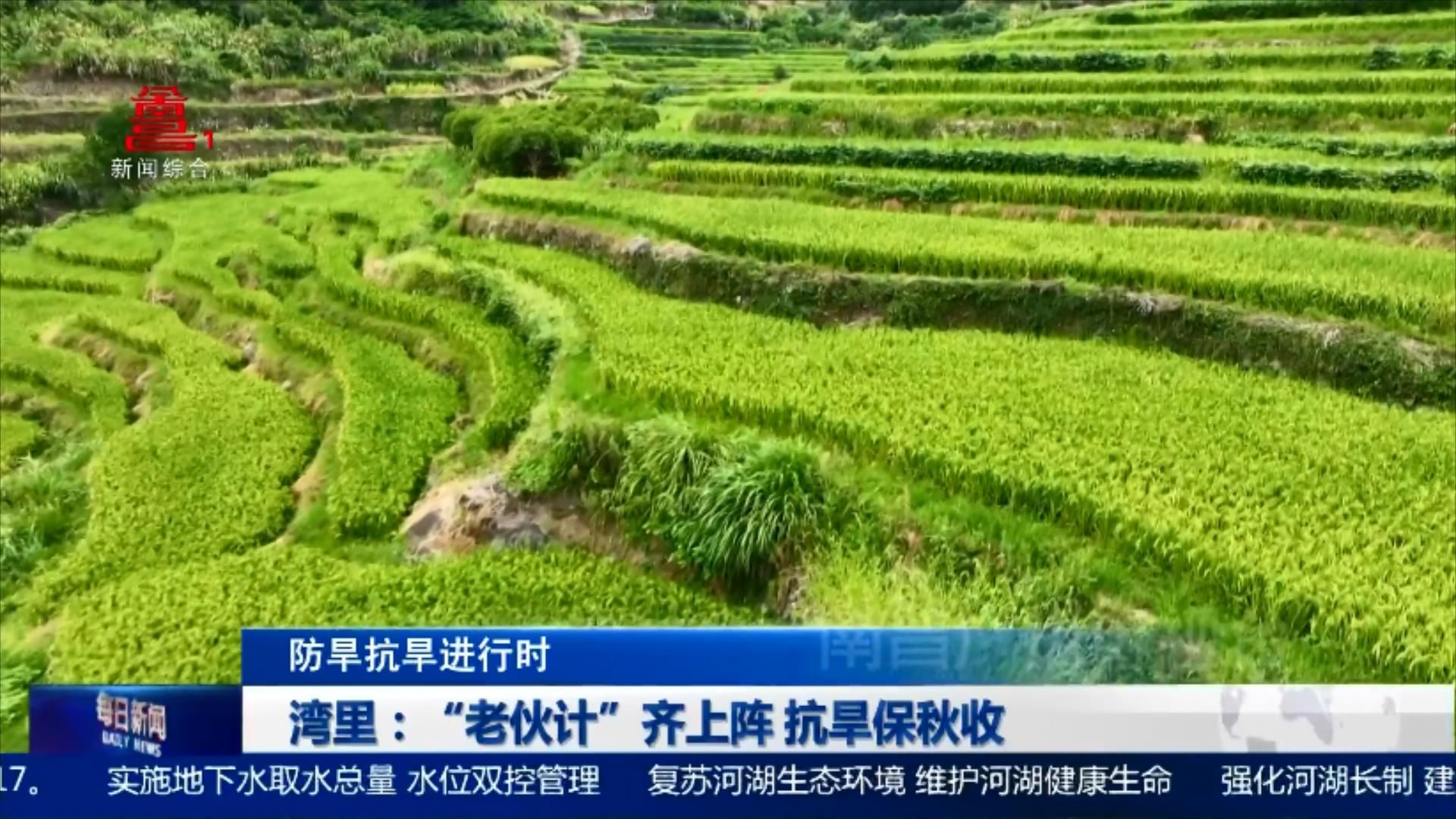 湾里：“老伙计”齐上阵 抗旱保秋收